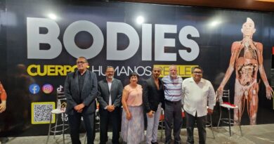 bodies