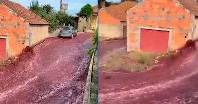 Rios de vino