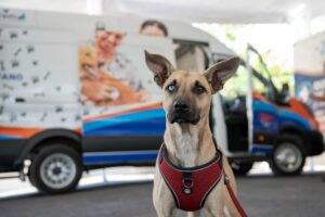 esterilización el marqués 2