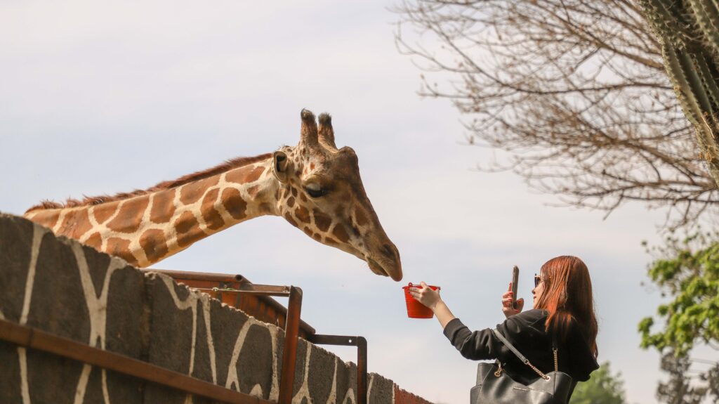 Zoológico Wamerú 2