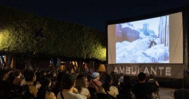 ambulante 25