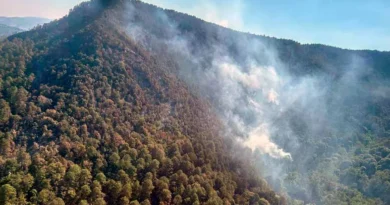 Incendio en santuario monarca