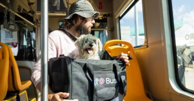 pet friendly qrobus