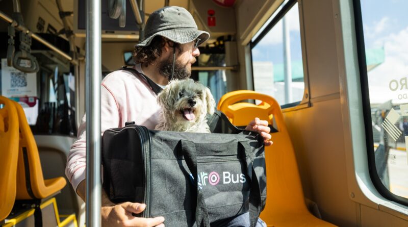 pet friendly qrobus
