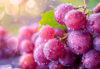 Flavonoides, protegen al cerebro de la demencia