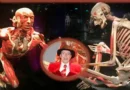 plastinación