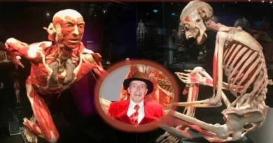 plastinación