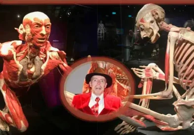 plastinación