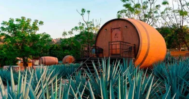 El Tequila y su día internacional