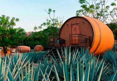 El Tequila y su día internacional