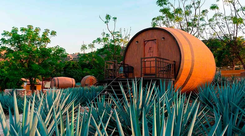 El Tequila y su día internacional