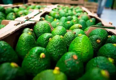 EUA aguacates Mich